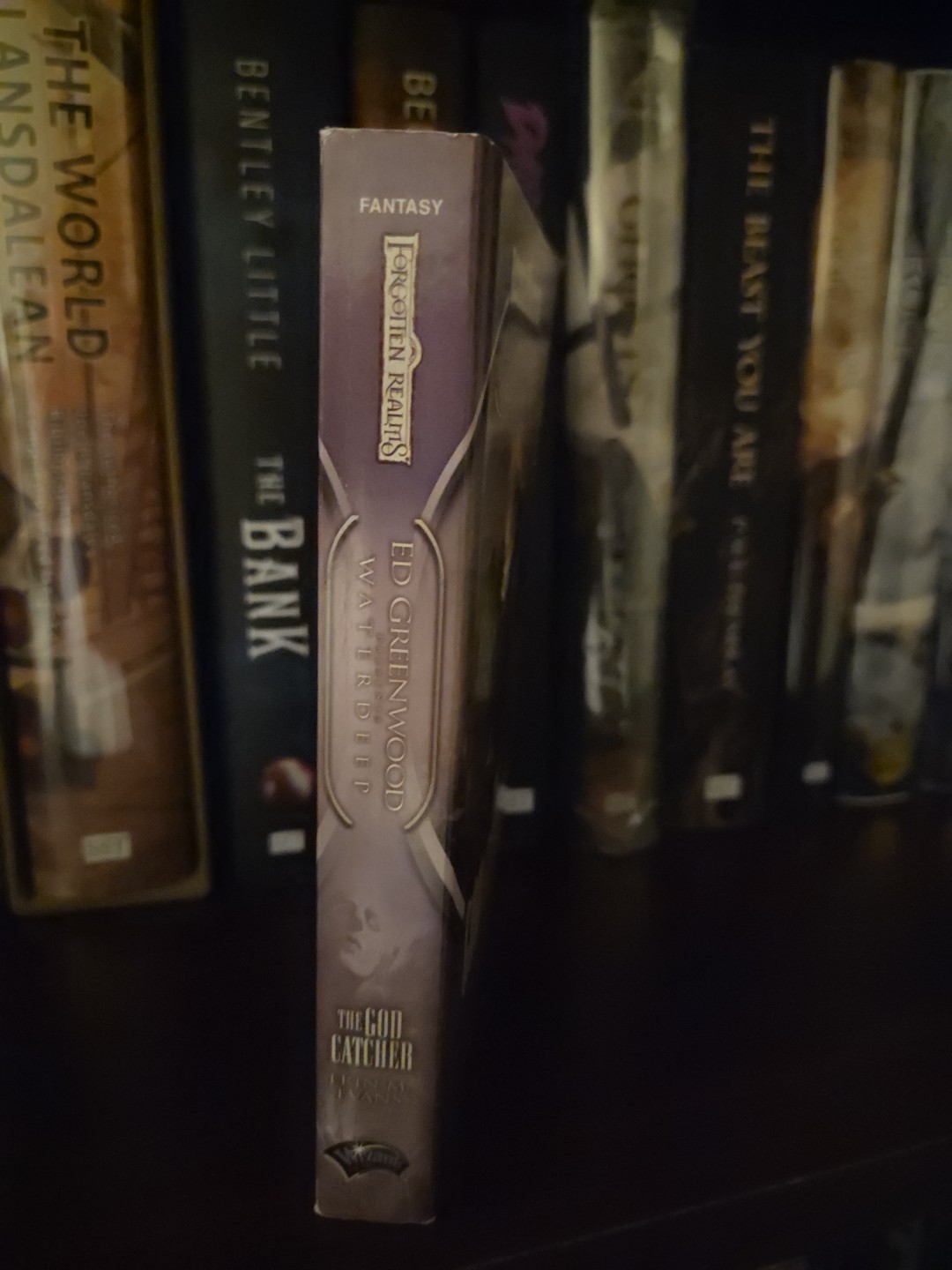 Forgotten Realms The God Catcher Erin M. Evans Waterdeep TSR D&D