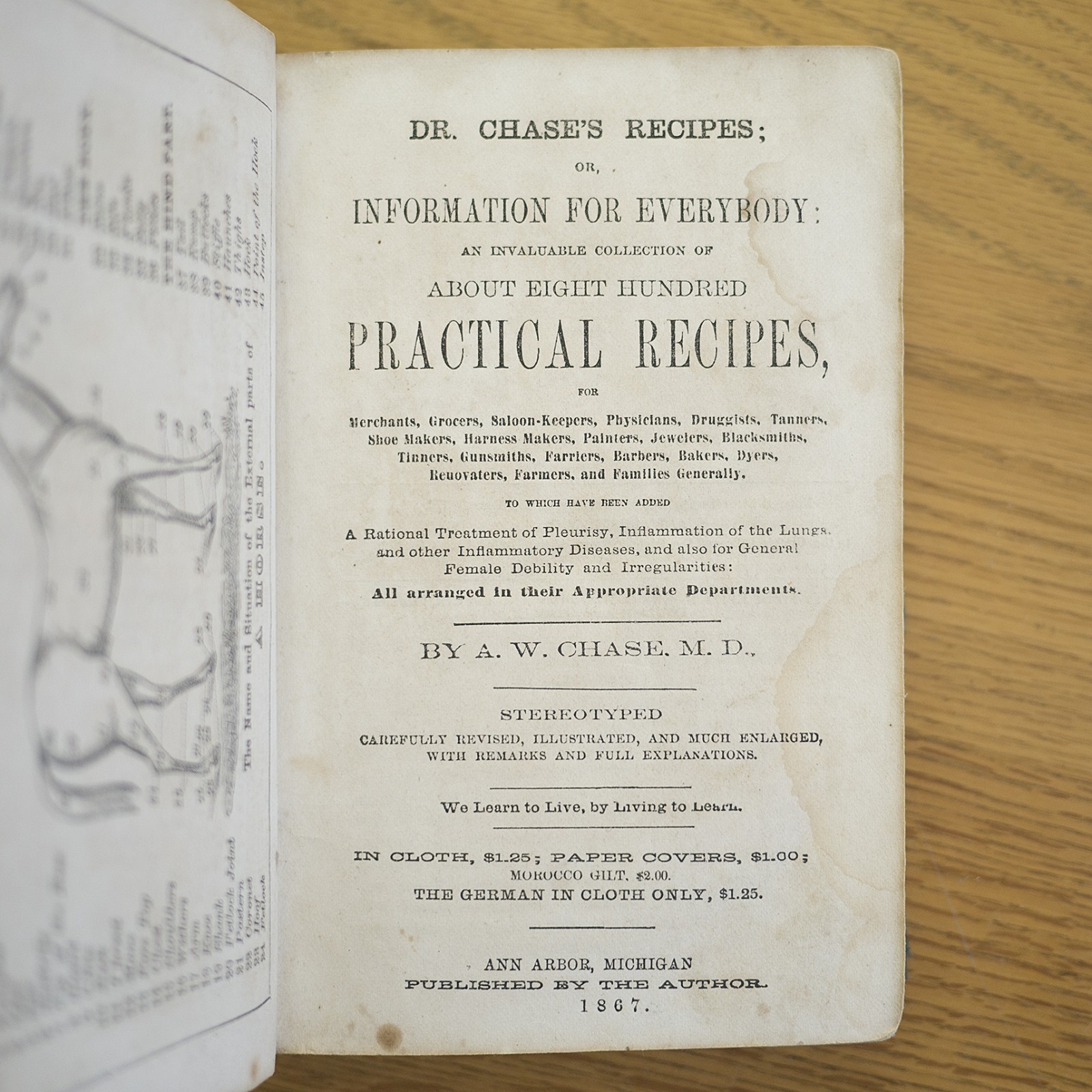 1867 DR. CHASE’S RECIPES MEDICINE DRUGS WINE MAKING ICE CREAM ANTIQUE COOK BOOK